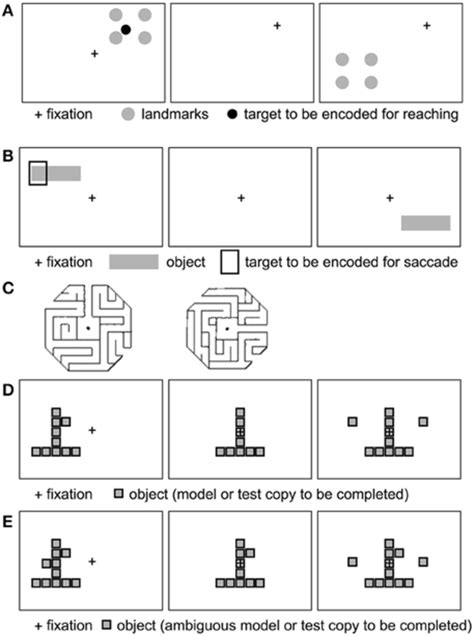 Image result for Spatial Reference Frame