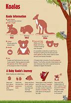 Image result for Cute Baby Wild Animals