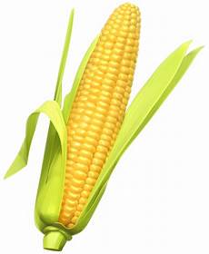 Corn Clipart by Corn Clipart Clipart Panda Free Clipart Images Corn Clipart