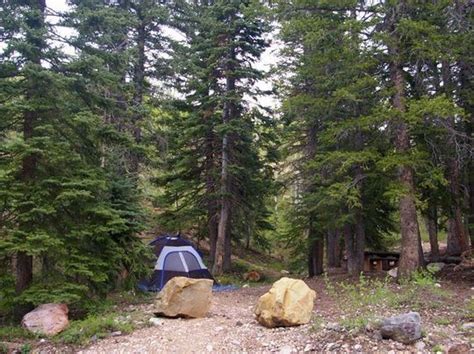 Cedar Canyon Campground Utah: Camping, Hiking & Scenic Views