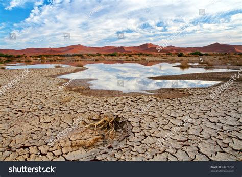 Desert Water