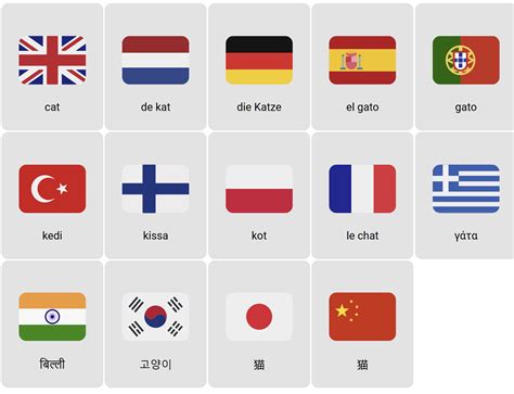 Cat in different languages - Vocabulary Game - Ekvis.com