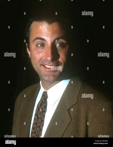 Andy Garcia Young Wife
