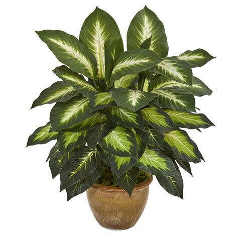 Nearly Natural 18" Dieffenbachia Artificial Plant in Ceramic Planter ...