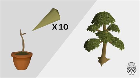 Image result for OSRS Tree Farming Locations