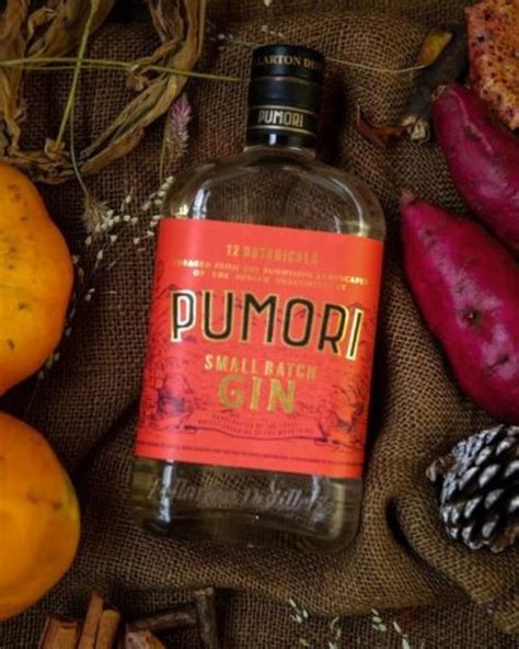 Add the finest gin from Indian breweries to your home bar, pronto!