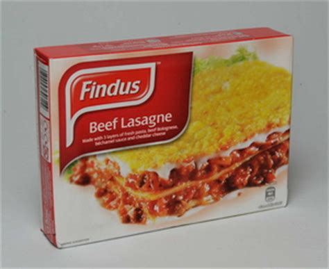 Horse Meat in British Beef Lasagne