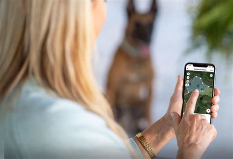 Image result for Invisible Fence Training Tutorial