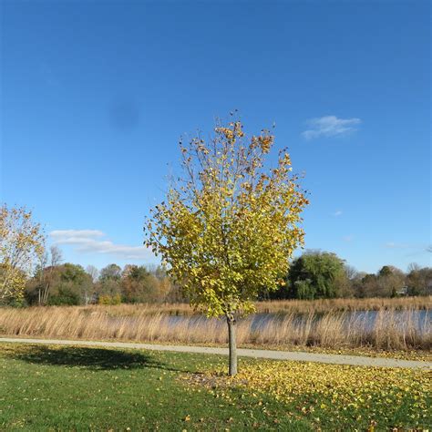 Elm Grove Village Park - All You Need to Know BEFORE You Go (2025)