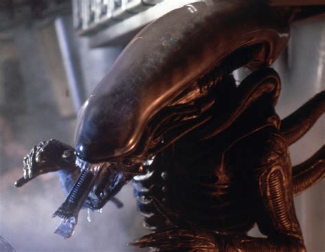 Image result for Alien 4 Stream Deutsch