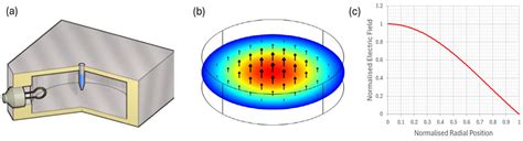 Rapid, Point-of-Care Microwave Lysis and Electrochemical Detection of ...