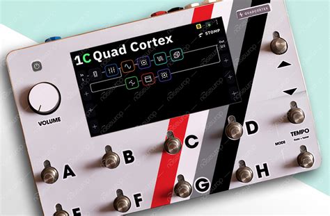 Image result for Quad Cortex Back Panel