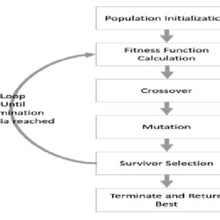 Image result for Foundation of Genetic Algorithm