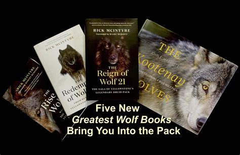 5 New Greatest Wolf Books that Bring You Into the Pack. 2023 Edition ...