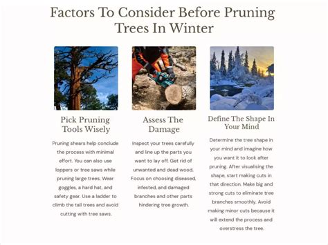 Why Winter Is The Best Time To Prune Trees.pptx