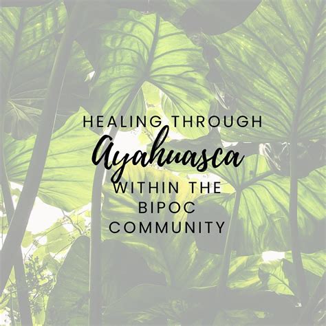 Healing Through Ayahuasca Within the BIPOC Community, February 22 to ...