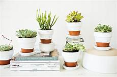 Customize Terracotta Pots by Simple Diy Ways To Customize Terracotta Pots Customize Terracotta Pots