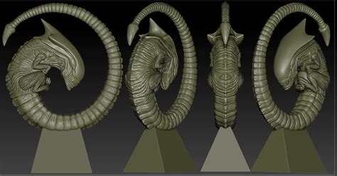 Image result for Alien Chestburster Props