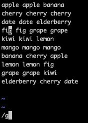 Incremental Search Python 的图像结果