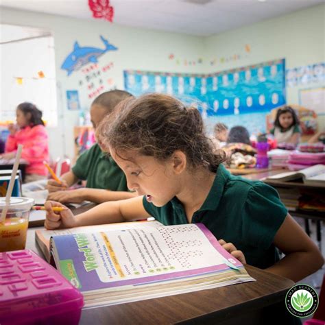 Iman Academy - Islamic Schools in Houston Tx