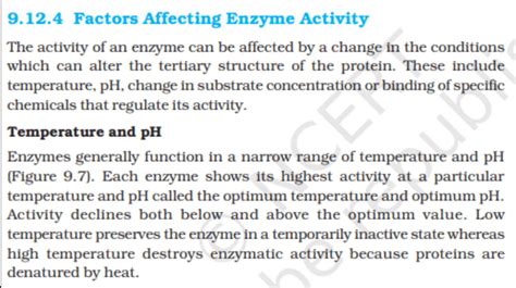Enzymes: Definition, Functions, and their Structure