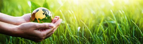 Yes Foundation CSR – Environmental Sustainability