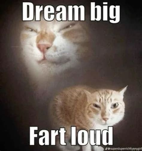 fit of yhe day 🔥🔥🔥