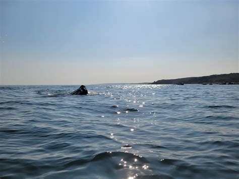 20 Miles around Naushon Island, Elizabeth Islands, Massachusetts : r ...