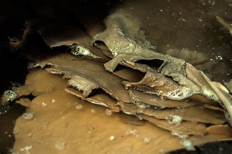 D'source Chappal Making | Making Process | D'Source Digital Online ...