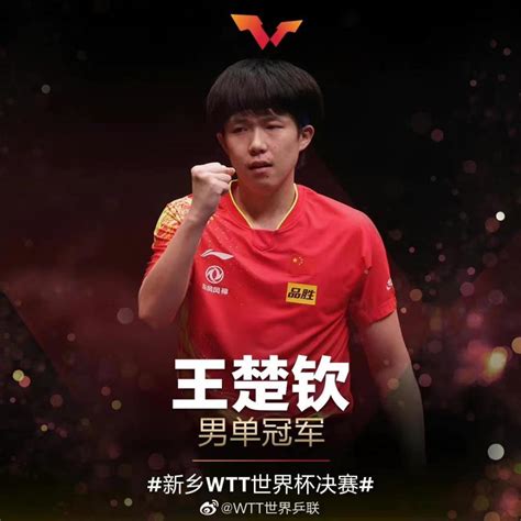 WTT世界杯决赛：王楚钦男单夺冠-新华网