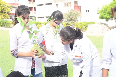 environmental_day_2018