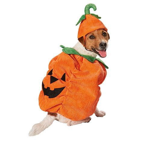 Small Dog Costumes Pumpkin at Sophie Peters blog