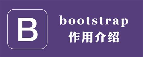 Bootstrap 的图像结果