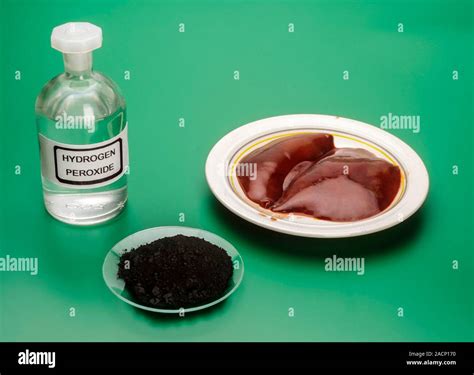 Hydrogen peroxide experiments. Hydrogen peroxide (H2.02, bottle, left ...