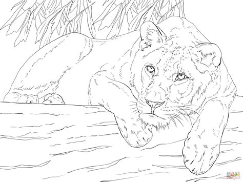 Lying Lioness coloring page | Free Printable Coloring Pages