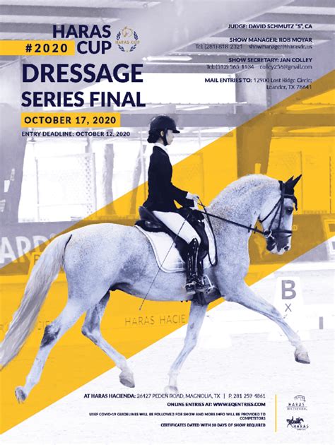 Image result for USDF Intro Test A