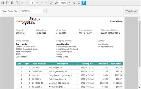 Image result for JavaScript Code to View Report