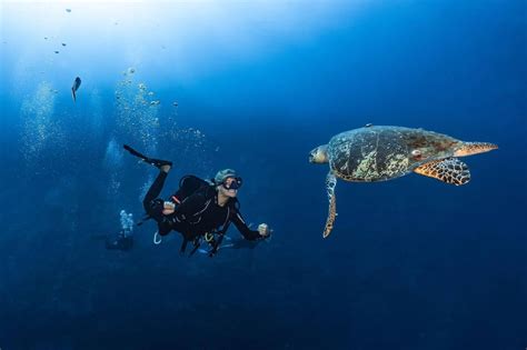 20 Top Things To Do In Dubai In Summer | 2026 Activities