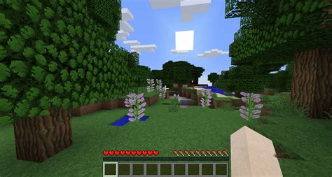 Minecraft Java Edition Create Server 的图像结果