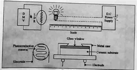 Learnohub Class 12 Physics 的图像结果