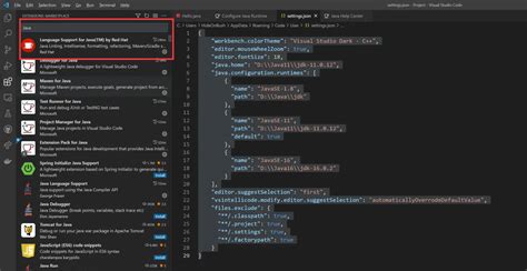 Java Tutorial on VS Code 的图像结果