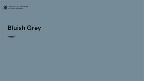 Bluish Grey color - #748B97 - The Official Register of Color Names