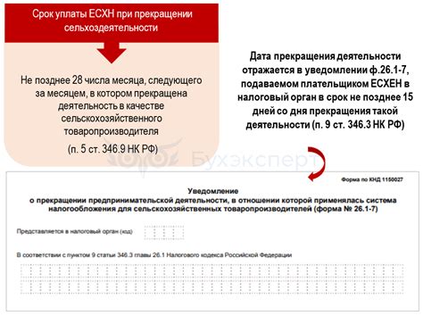 Срок уплаты ЕСХН в 2025: правила, особенности переноса, примеры