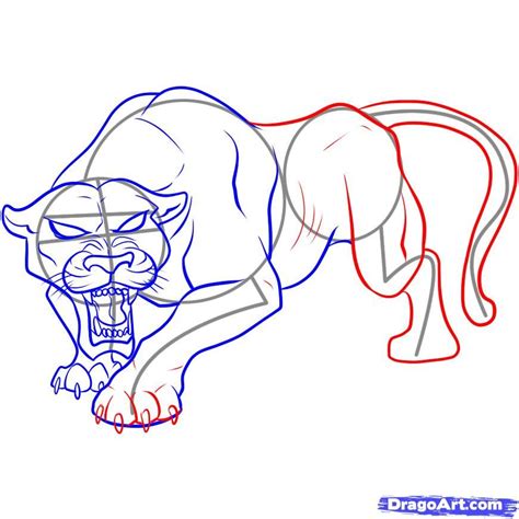 Image result for Draw Panther Tutorial