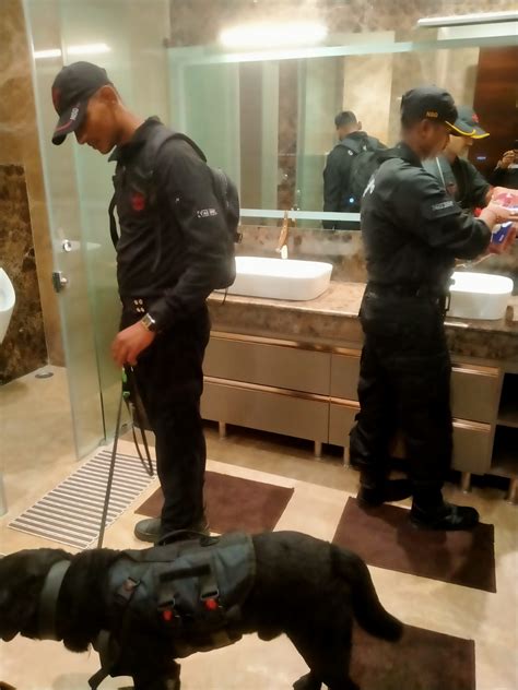 G20 Summit: NSG Bomb Squad conduct anti-sabotage checks at different ...