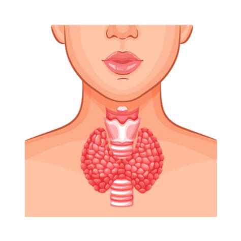 Healthcare Tips and Advice from Experts - DocGenie Blog