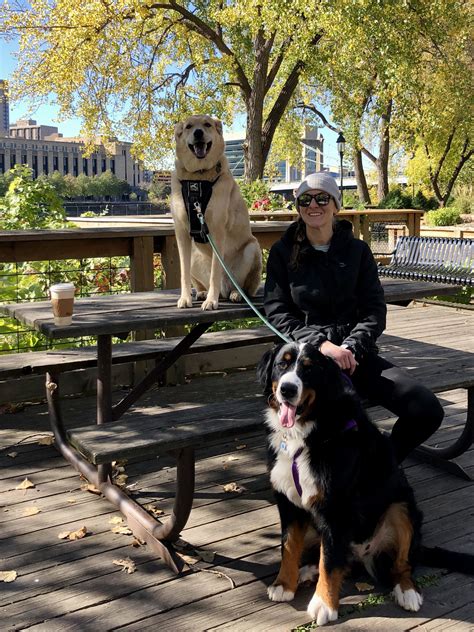 Pet Haven's Pawgress Report (November 2021) - Pet Haven of Minnesota