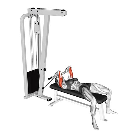 Seated Tricep Press Machine Legend Fitness Unilateral Seated Tricep ...