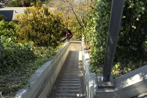 Santa Monica - Angeleno Living