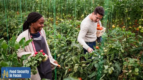 Image result for Food Security Program